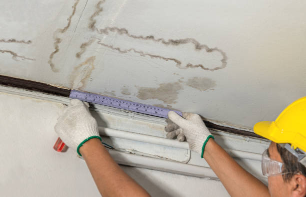 Reliable Mold Remediation contractor in Kansas City, KS by Water Damage Irwin